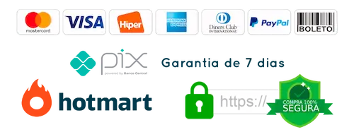 Bandeiras de pagamento aceitas e selo de compra segura
